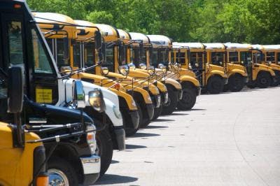 School Bus Routing and Planning Made Easy